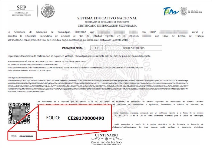 Certificado De Secundaria | Guía Completa 2023 | Descarga Tu Boleta SEP